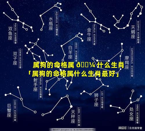 属狗的命格属 🌼 什么生肖「属狗的命格属什么生肖最好」